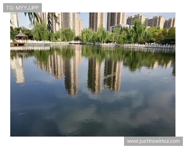 开云乐鱼体育如何优化用户界面设计提升操作便捷性与用户满意度