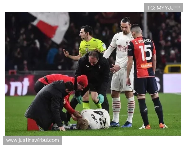 开云平台网站成为AC米兰官方赞助商的背景与合作模式全面解析